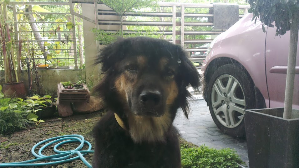 น.ส. จิกกี๋
