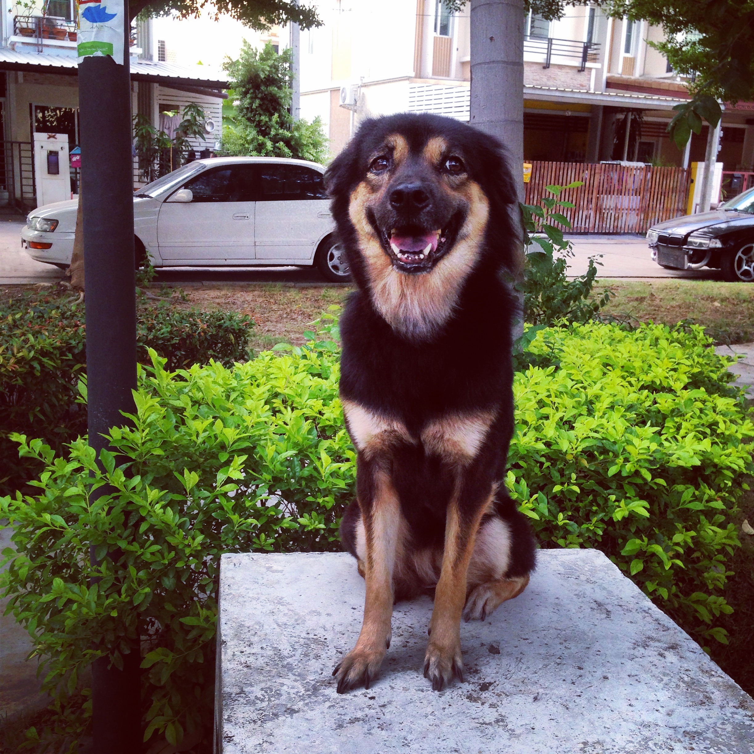 ป้าจิ๊กกี๋