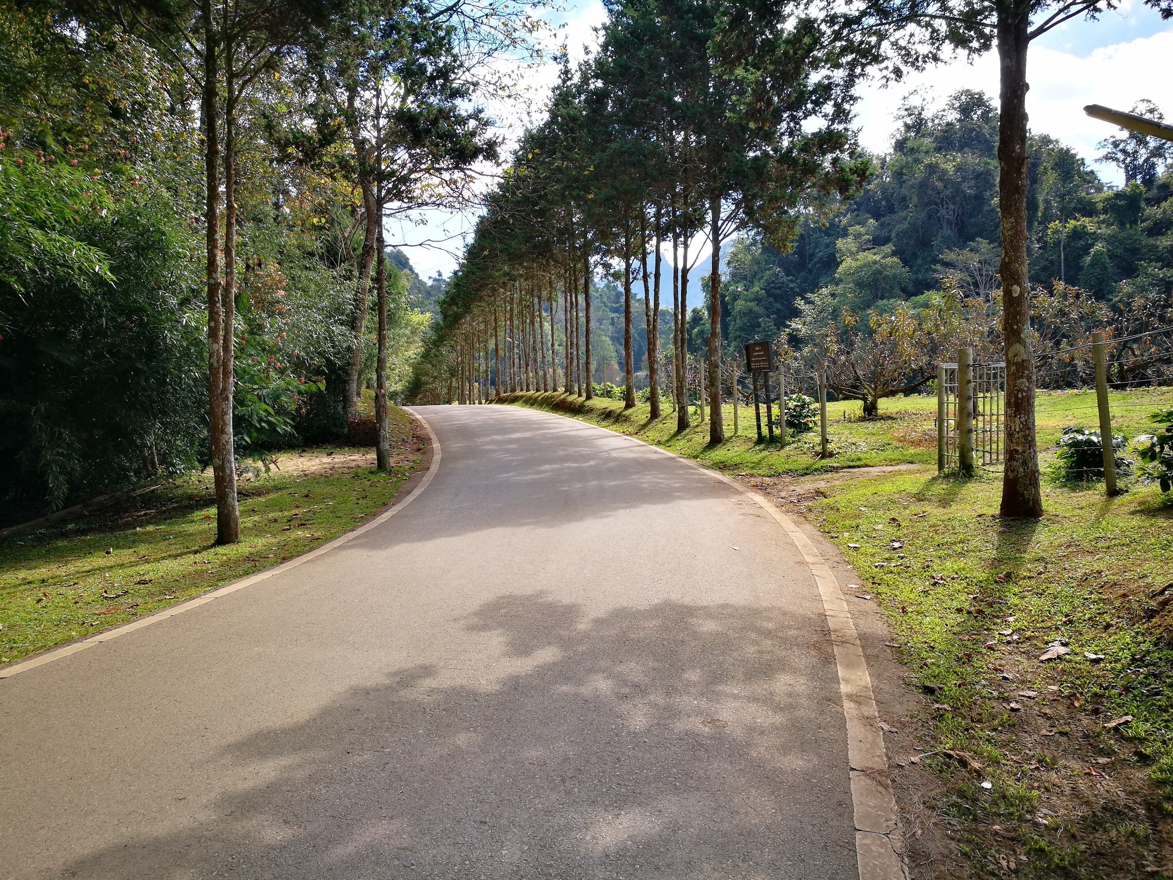เที่ยวท่อง..ล่องเหนือ – Day 2 ดอยอ่างขาง