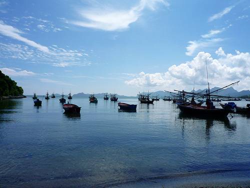กินปู กินหมึก ศึกษาธรรมชาติ..ที่หาดปราณบุรี
