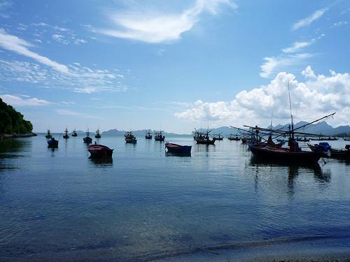 กินปู กินหมึก ศึกษาธรรมชาติ..ที่หาดปราณบุรี