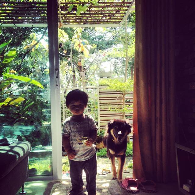 น้องพฤกษ์