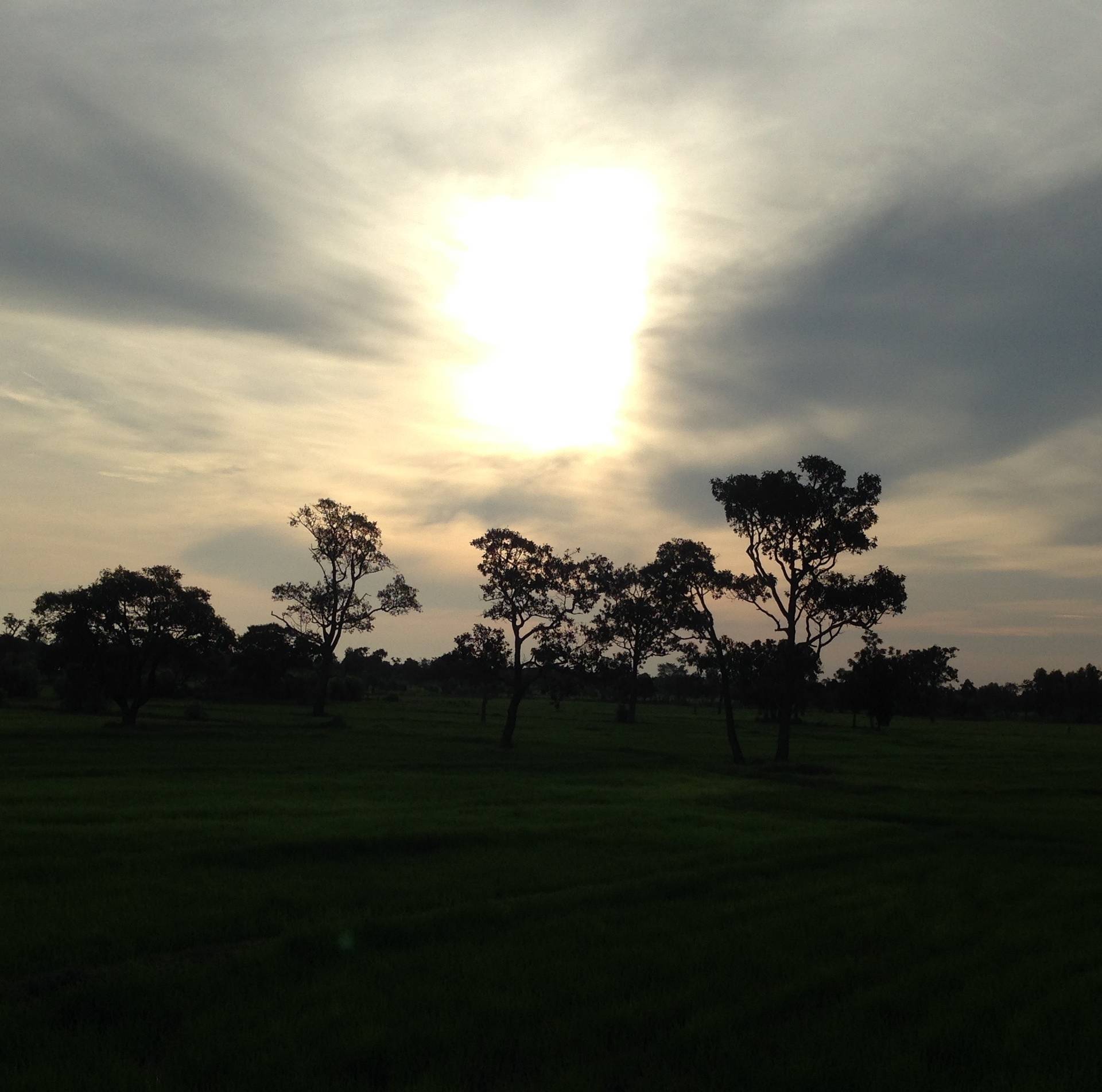 Morning Trail Run