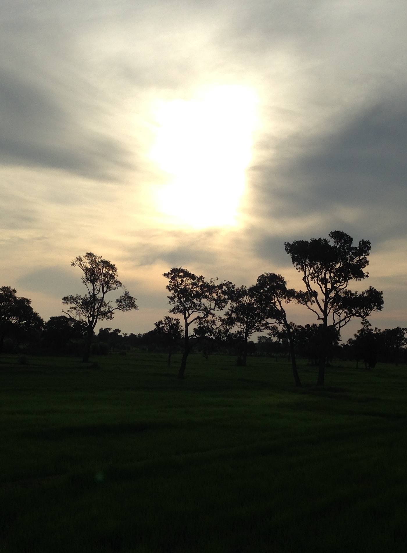 Morning Trail Run