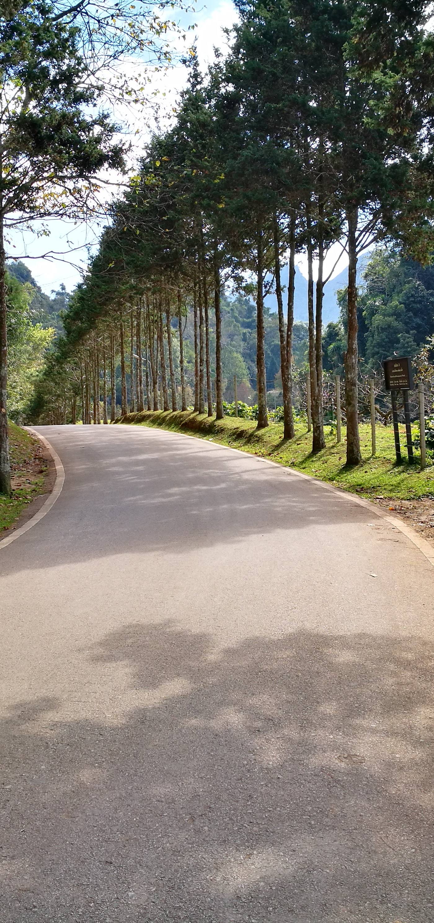 เที่ยวท่อง..ล่องเหนือ – Day 2 ดอยอ่างขาง